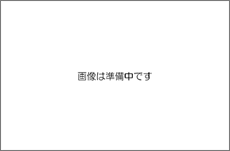 胸椎矯正